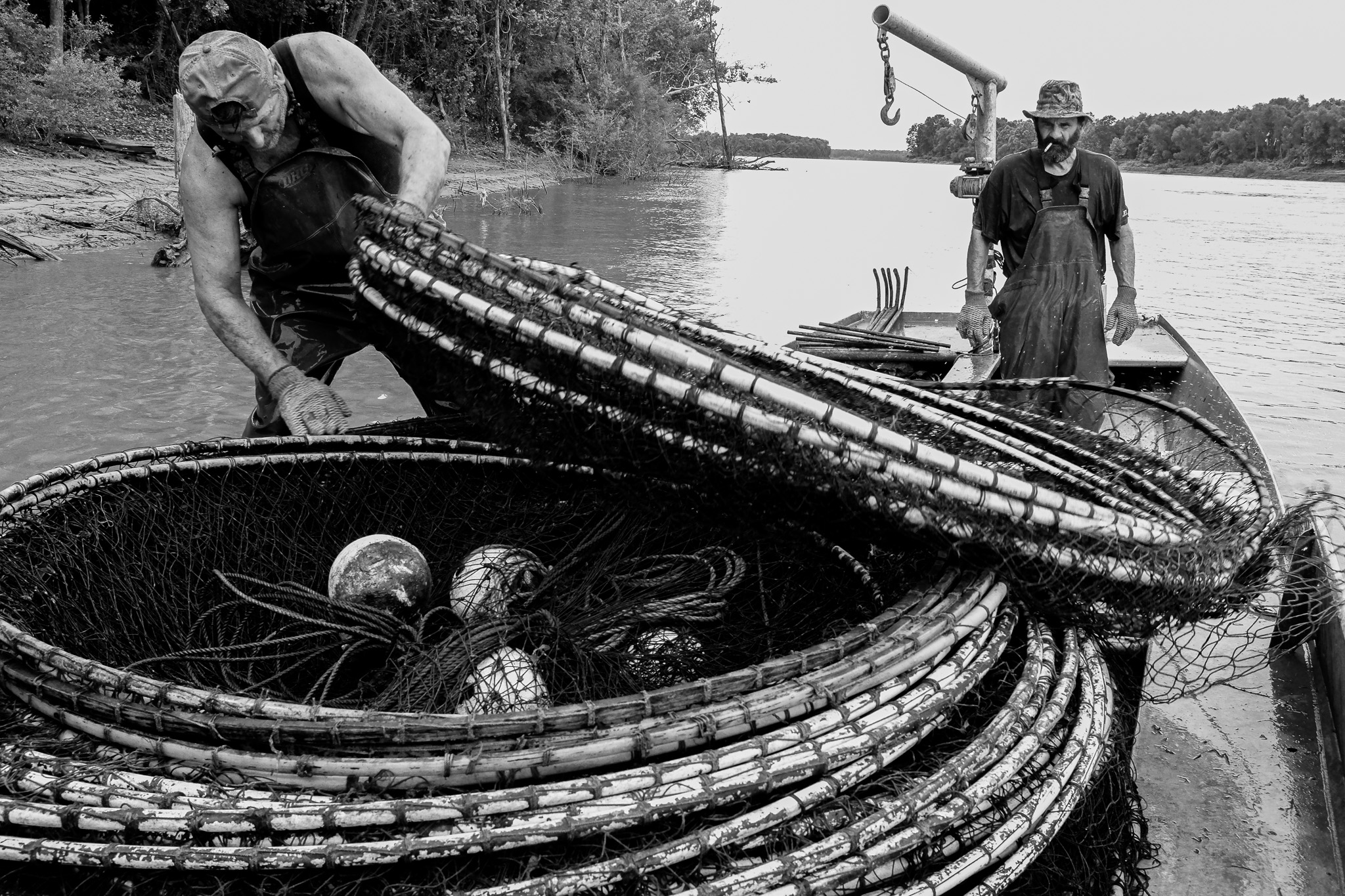 Two Fishermen reeling in a haul with hoop nets